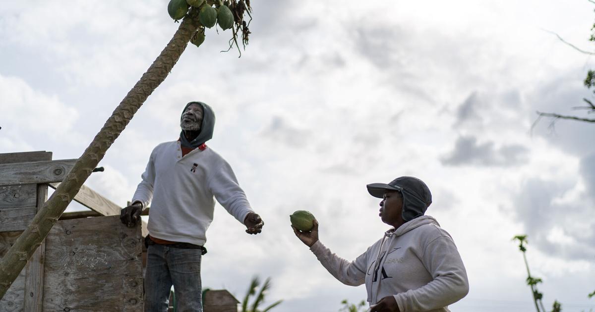 Last Dish Saving Conch